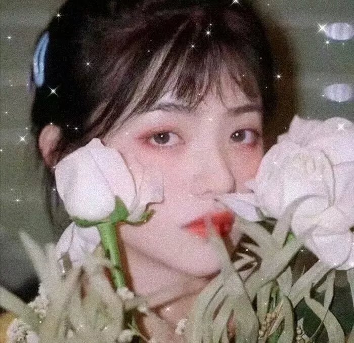 大唐小吃货2